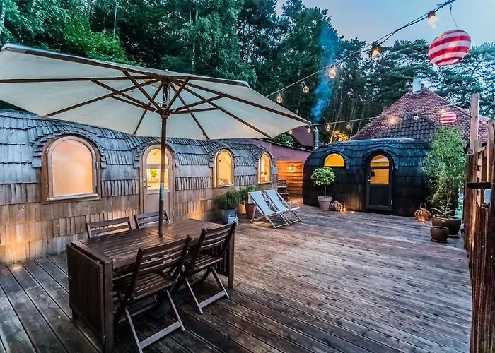 Iglu Domek alpejski *